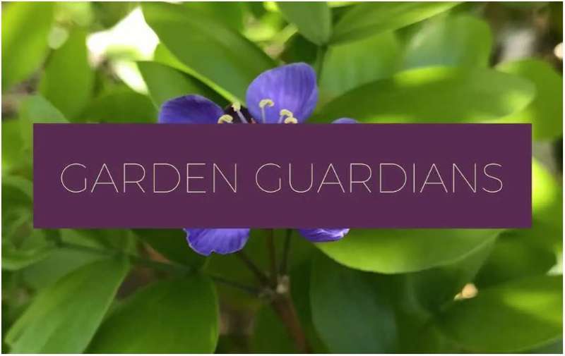 Tropical Forest & Botanical Garden: Garden Guardians