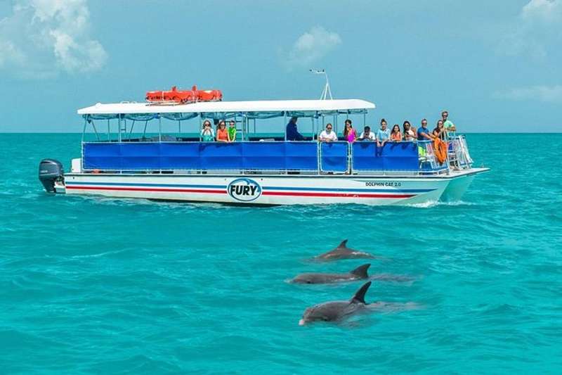 Key West Dolphin Watch and Snorkel Cruise