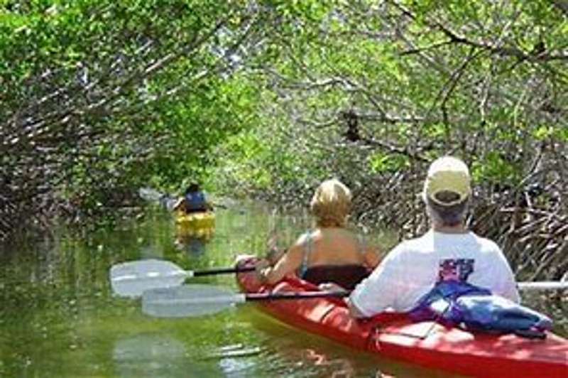 Key West Half Day Kayak Rental